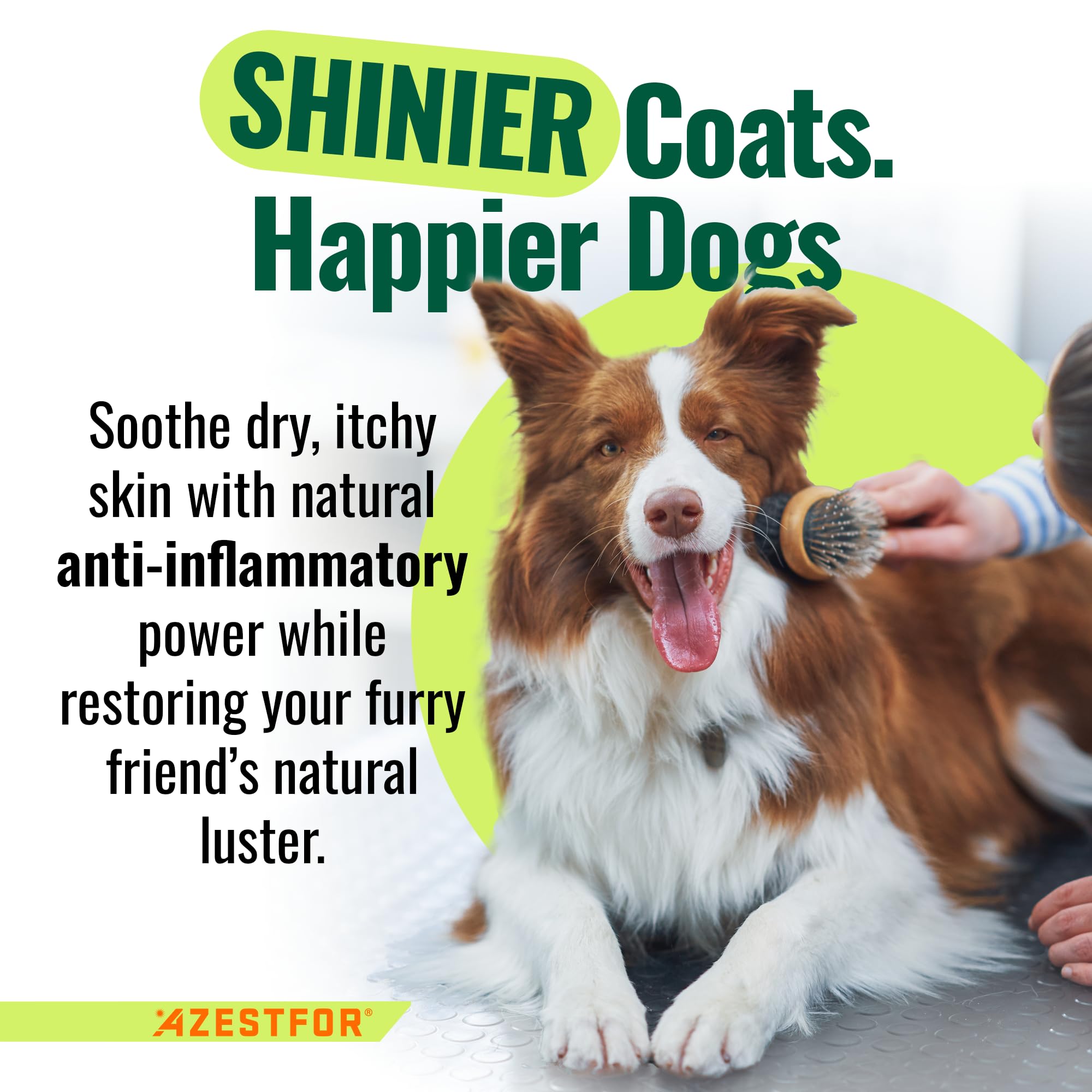 Azestfor green-lipped mussel dog powder served over food suggests easy daily dosing