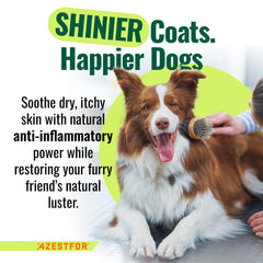 Azestfor green-lipped mussel dog powder served over food suggests easy daily dosing