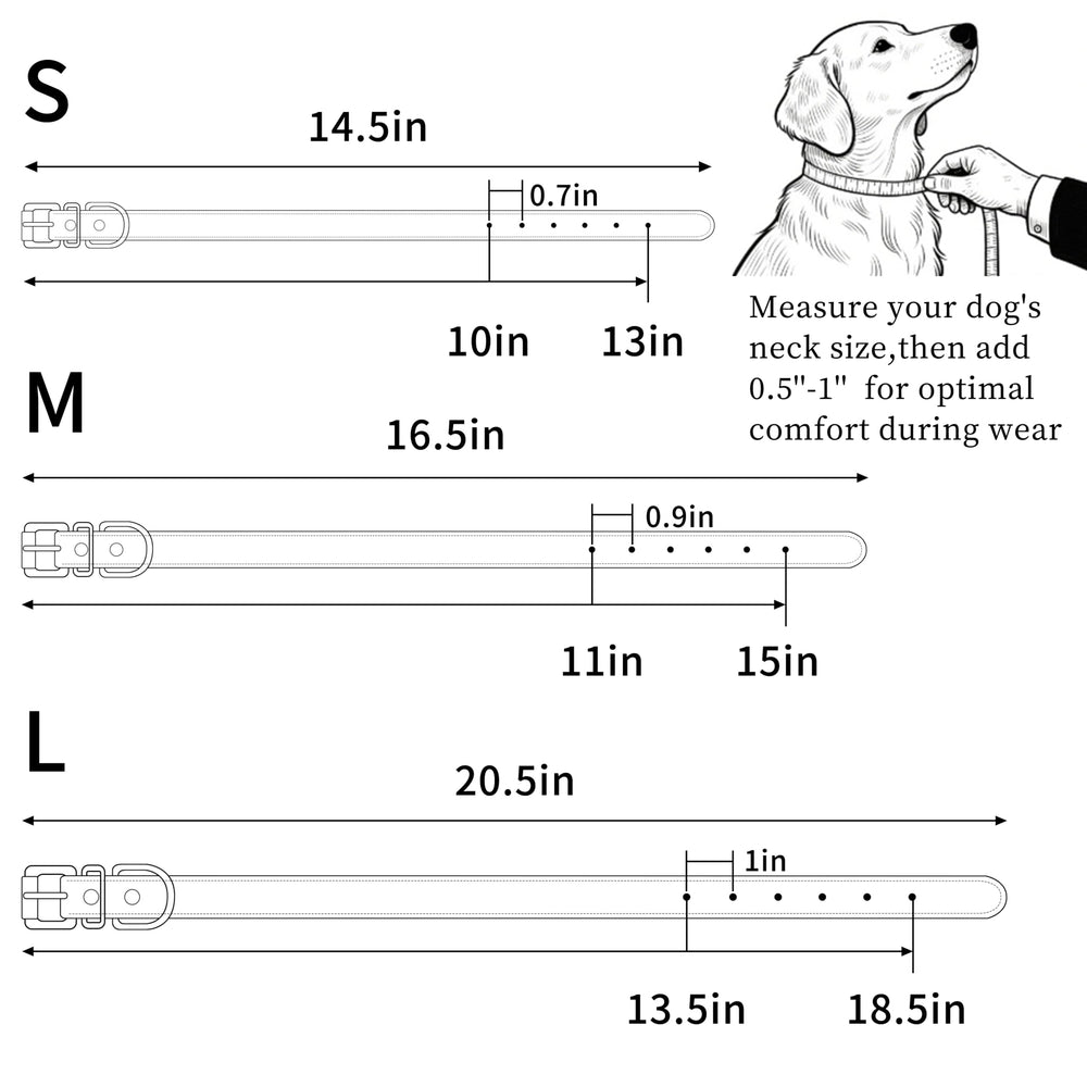 Azinoo brown leather collar on dog; lightweight for relaxed movement.