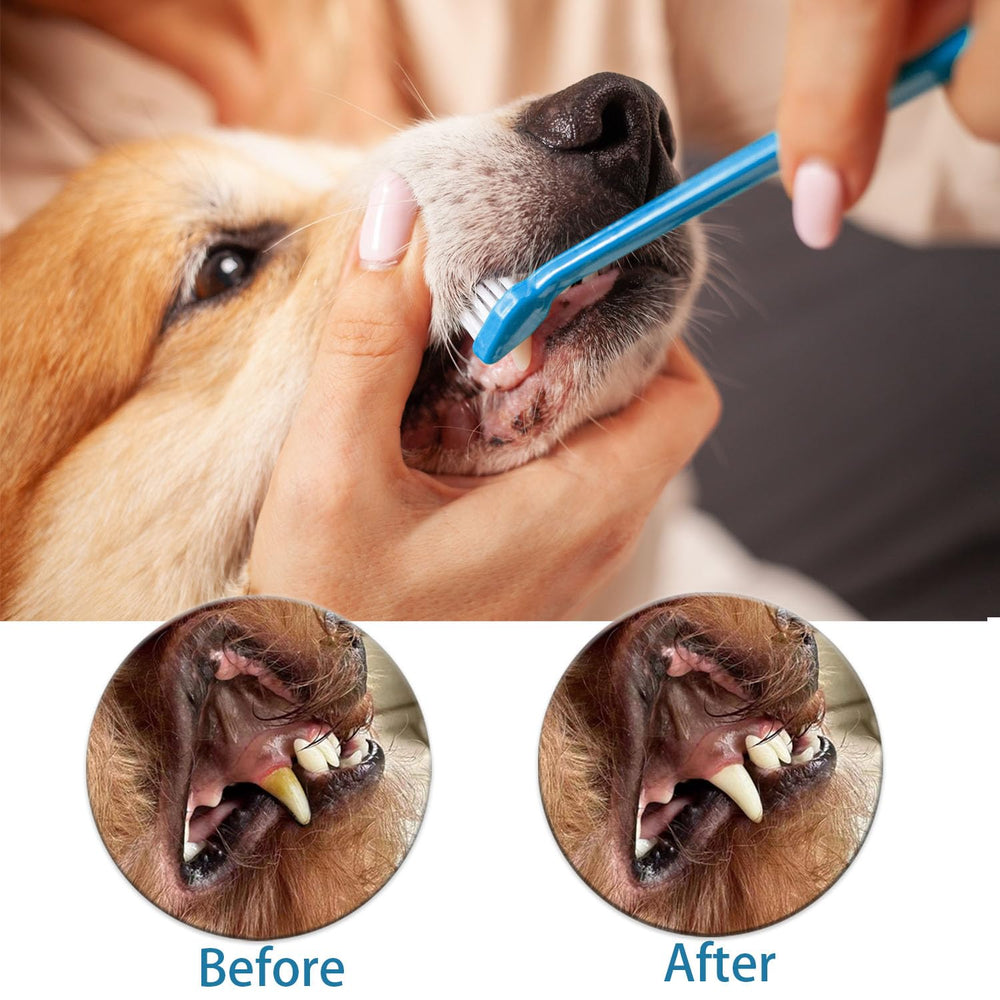 AZOFFYIU 360-degree pet toothbrush rotation view emphasizes full-mouth coverage