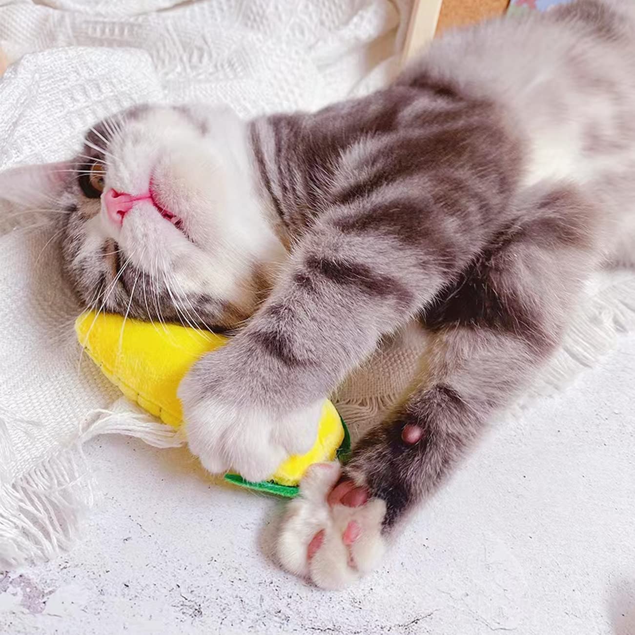 AZOFFYIU cat teething chew toy with soft fabric aids gentle chewing