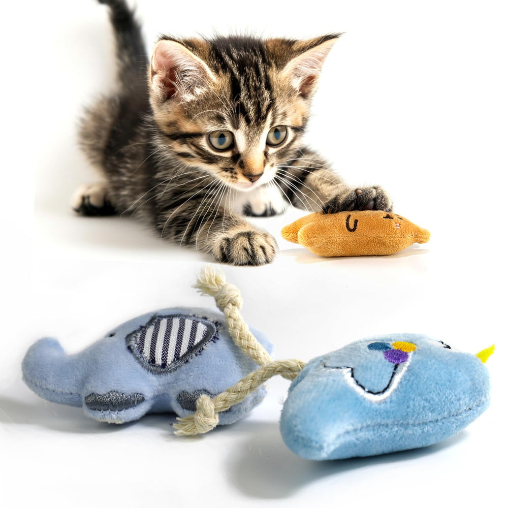 AZOFFYIU catnip toy teething chew soothes gums during playtime