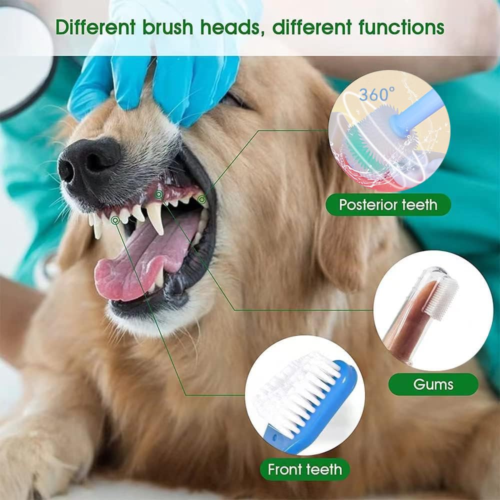 AZOFFYIU long-handle double-headed brush front-back teeth reach