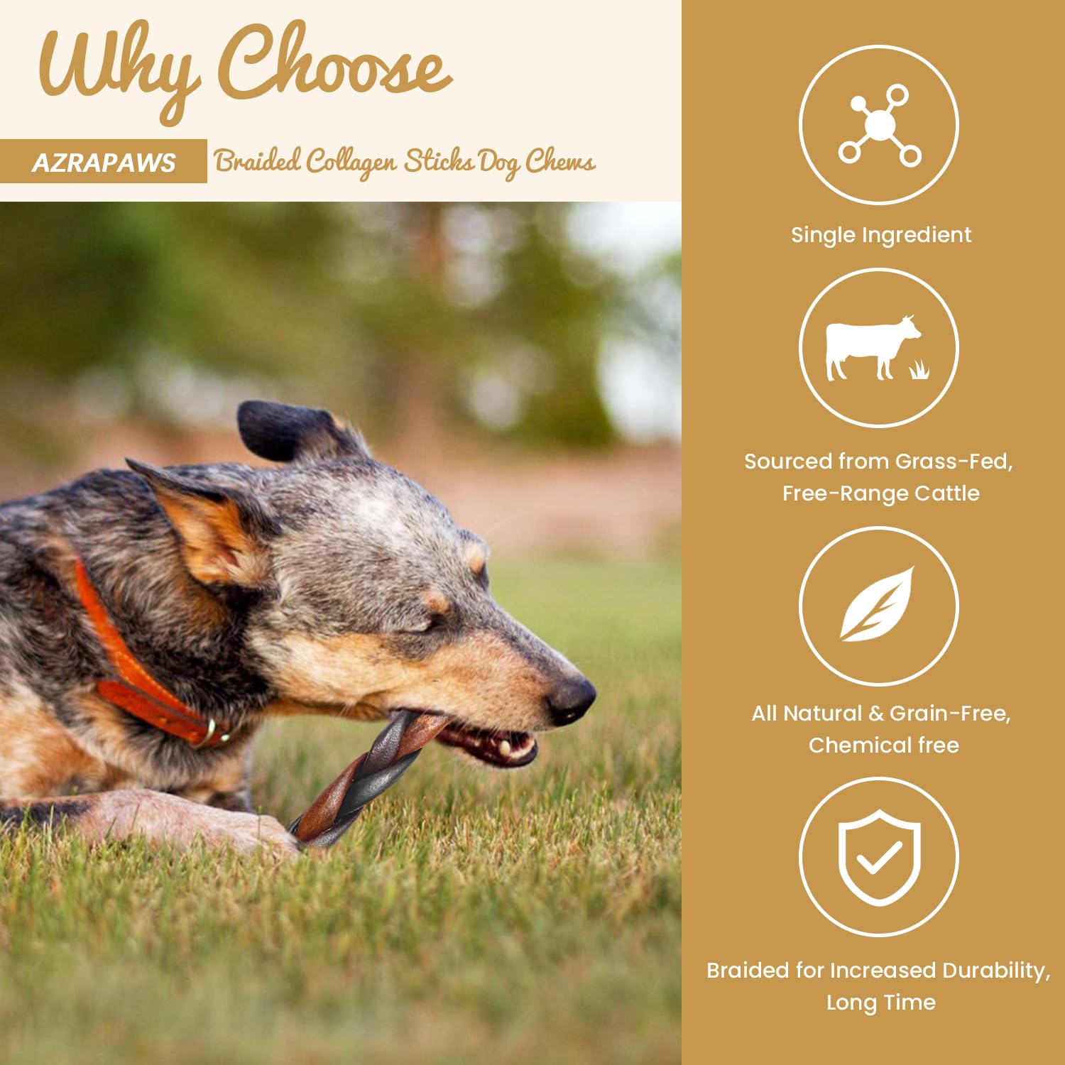 AZRAPAWS dental-health focused chew helps reduce plaque through chewing action.