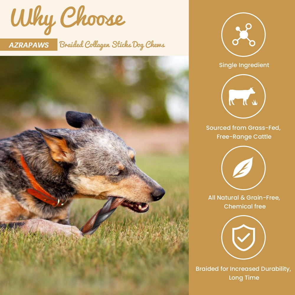 AZRAPAWS dental-health focused chew helps reduce plaque through chewing action.