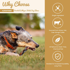 AZRAPAWS dental-health focused chew helps reduce plaque through chewing action.