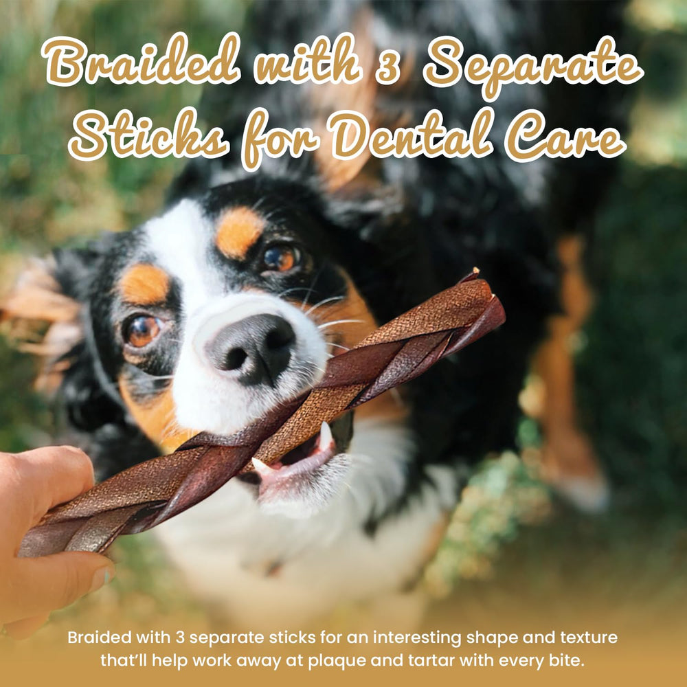 AZRAPAWS medium-to-large dogs braided sticks pictured for tough chewers.