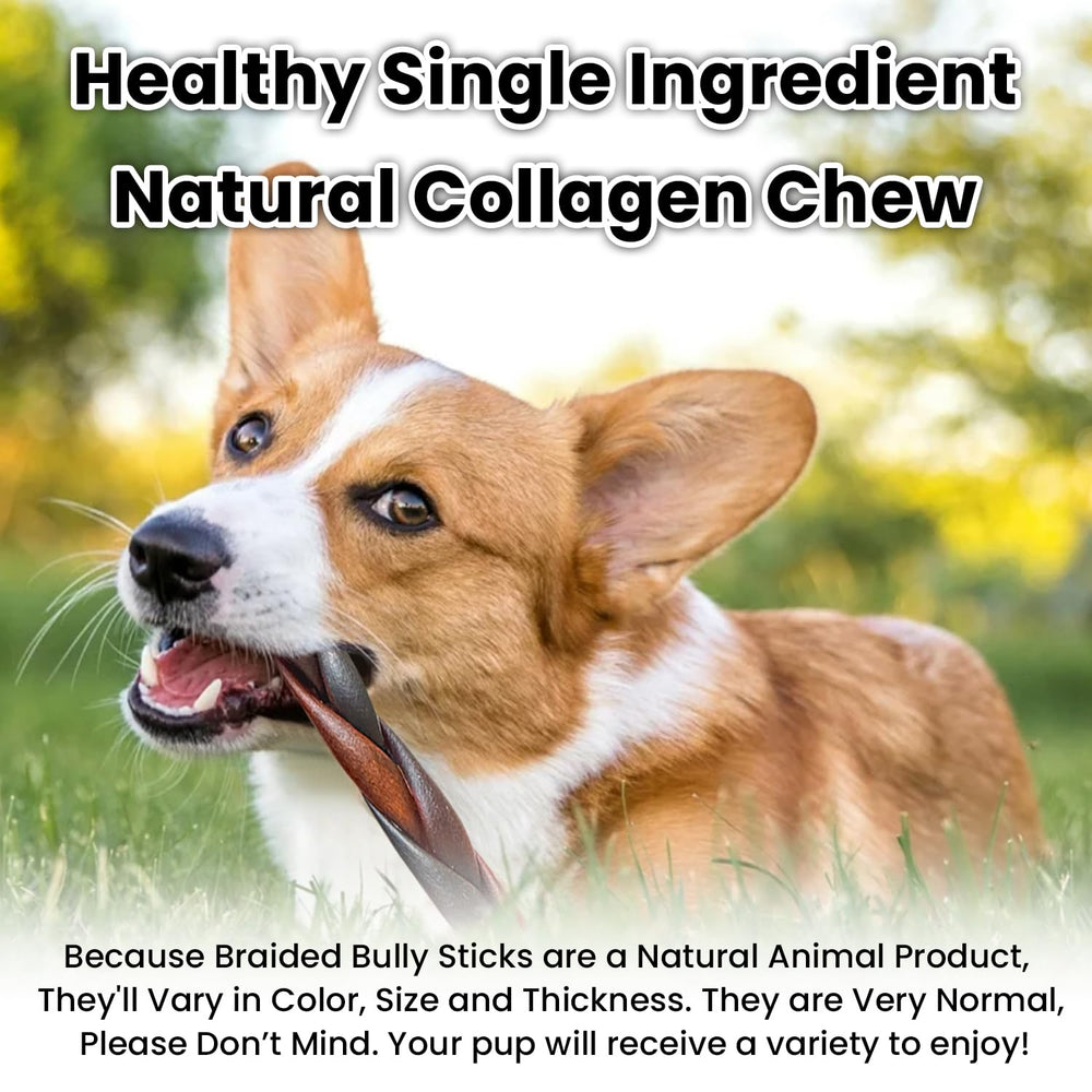 AZRAPAWS no preservatives or artificial flavors support clean ingredient appeal.