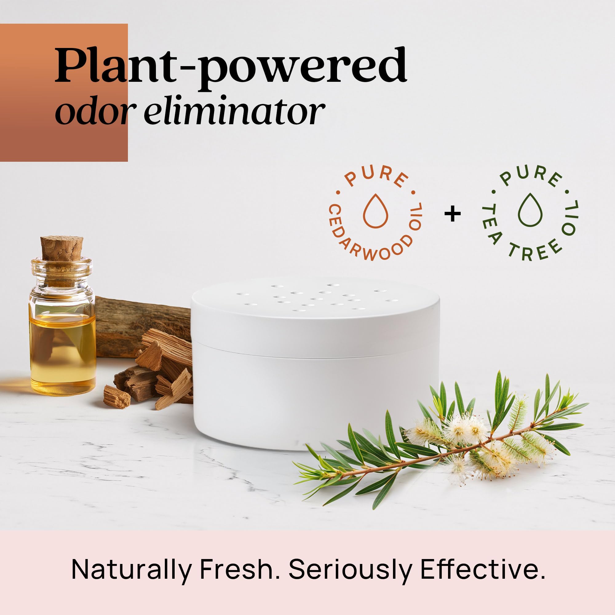 Azuna room deodorizer in use in a living room with pets and kids