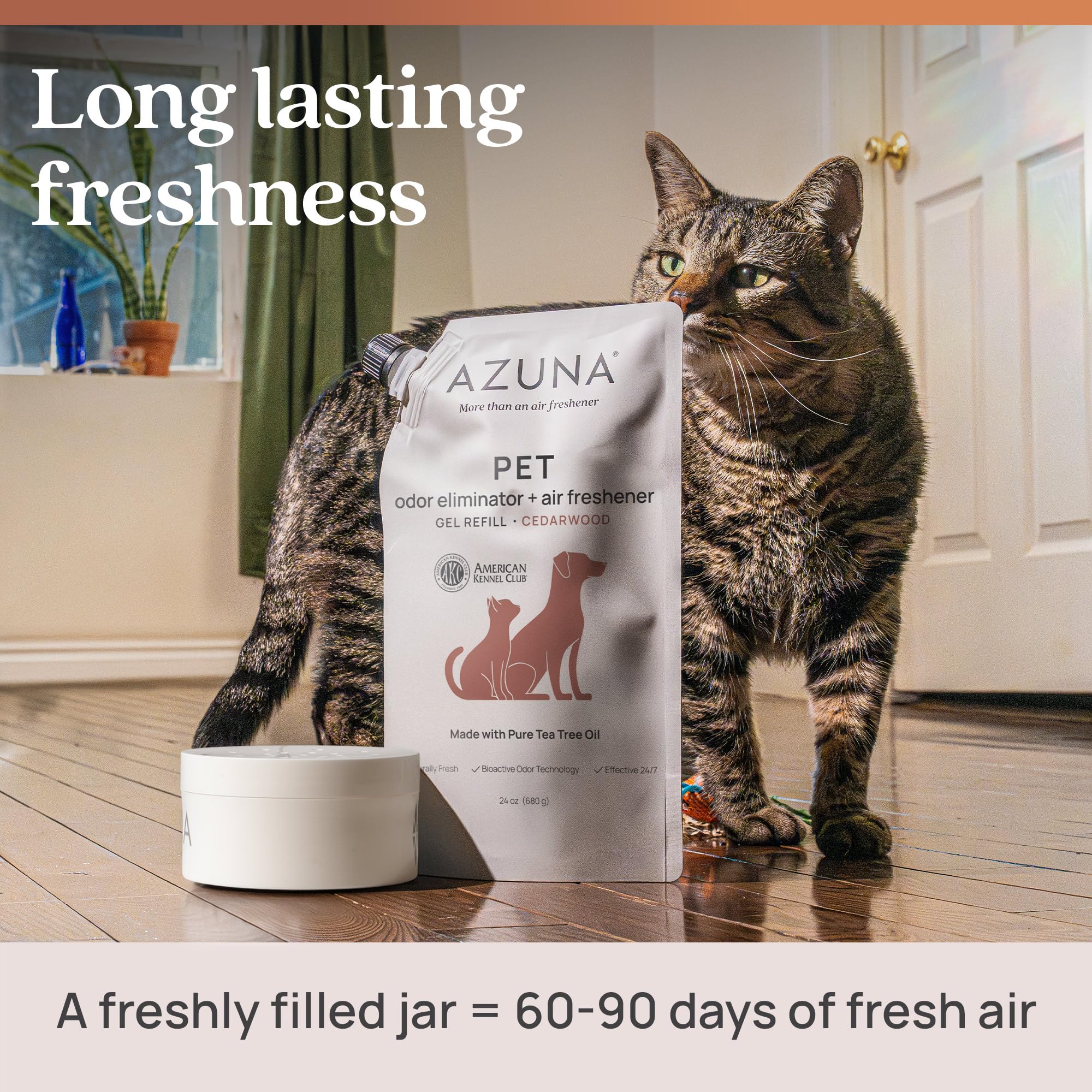 Azuna pod in a pet-friendly living room illustrating ongoing freshness