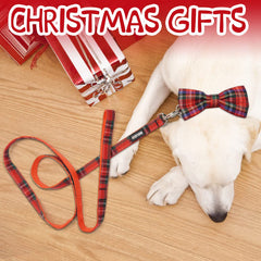 azuza Christmas Buffalo Leash features durable, soft webbing for daily walks.