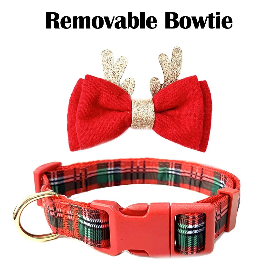 azuza christmas-dog-collar-on-dog party-ready for family gatherings