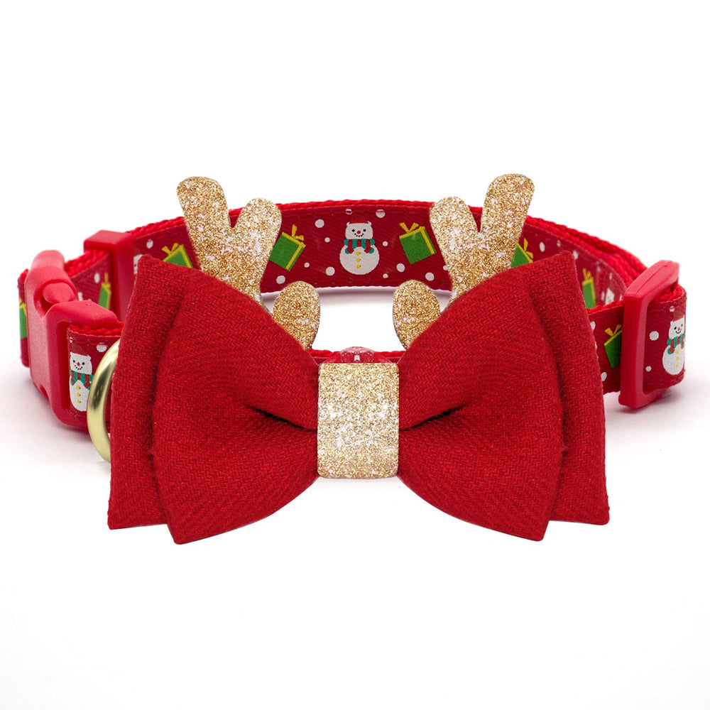 AZUZA Christmas dog collar on small dog demonstrates comfortable daily wear.