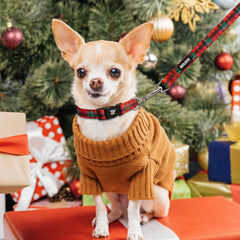 Azuza Christmas dog leash in buffalo plaid for secure holiday outings