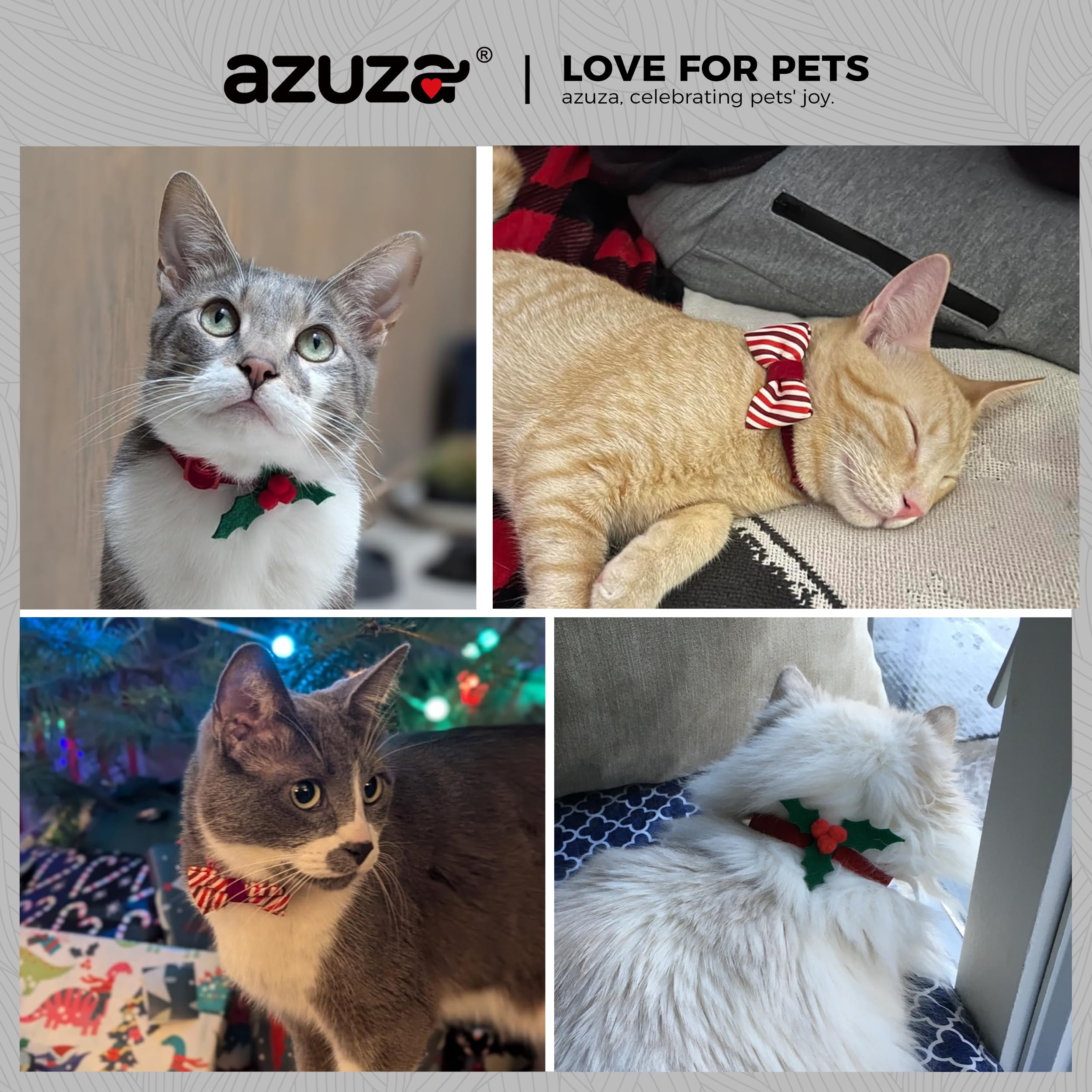 azuza Christmas kitten collar with removable bowtie for versatile holiday styling