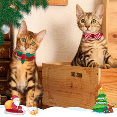 azuza breakaway safety buckle close-up for quick-release during play