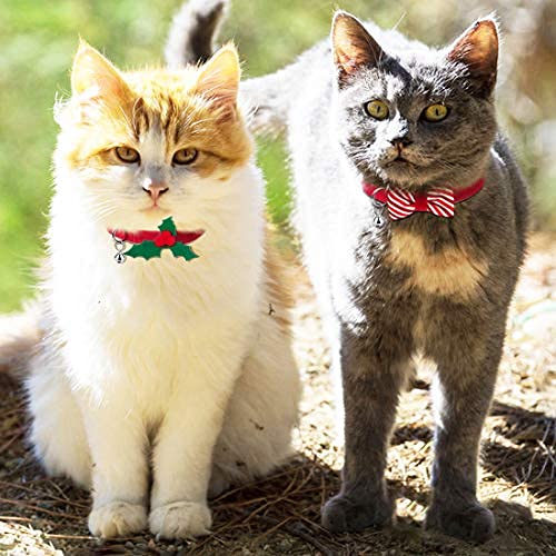 azuza chrome-coated D-ring for secure tag and leash attachment