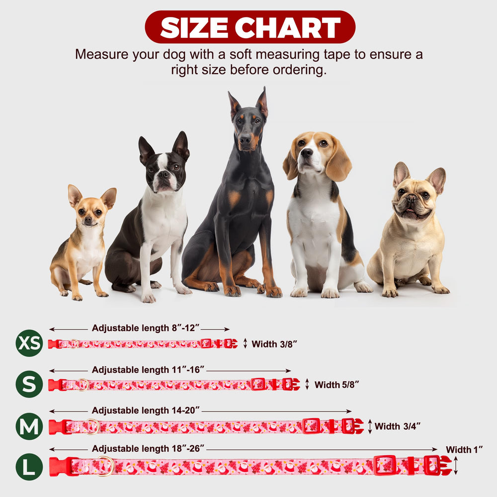 azuza festive collar suitable for daily wear and outdoor activities