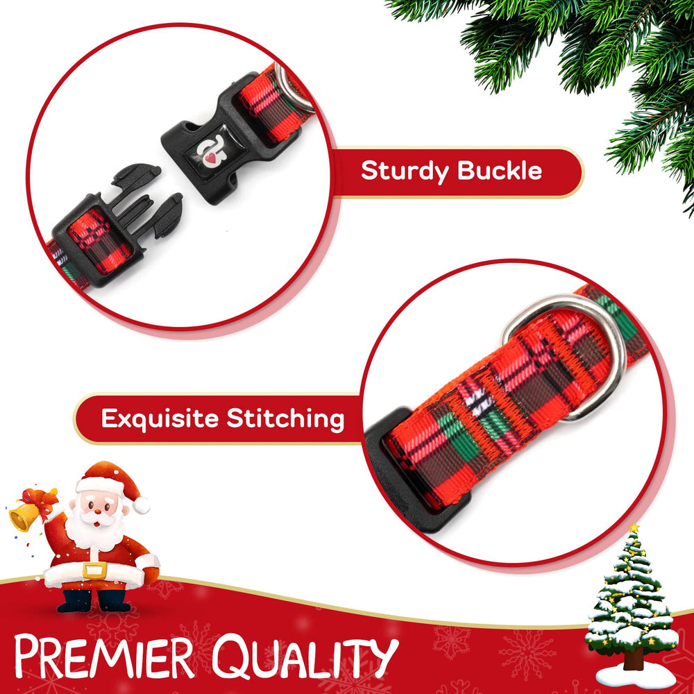 Azuza dog wearing buffalo plaid collar during holiday photos