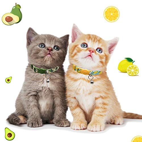 azuza kitten collar avocado print worn by curious cat during play