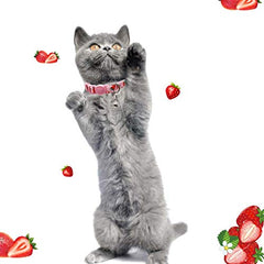 azuza kitten collar strawberry print with soft bell for gentle hearing