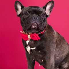 azuza plaid bowtie with glitter reindeer detail adds holiday charm.