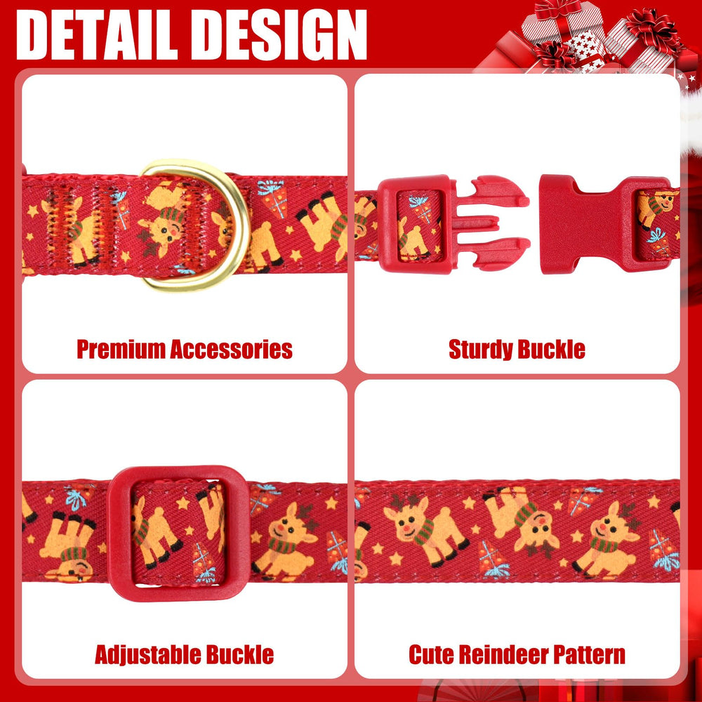 azuza durable polyester collar features eco-friendly buckles for long-lasting use