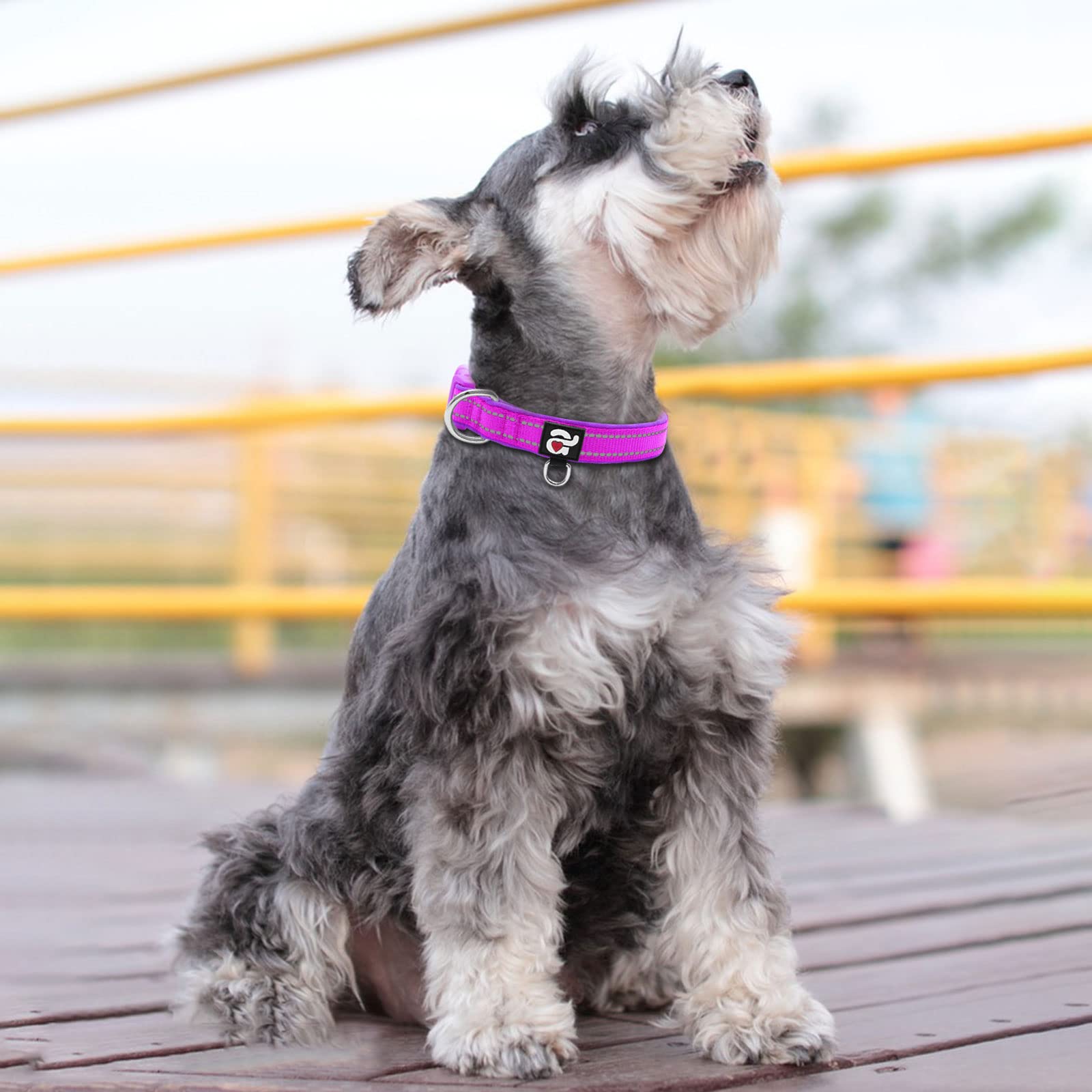 Azuza adjustable sizing for X-Small to Large neck ranges ensures proper fit.