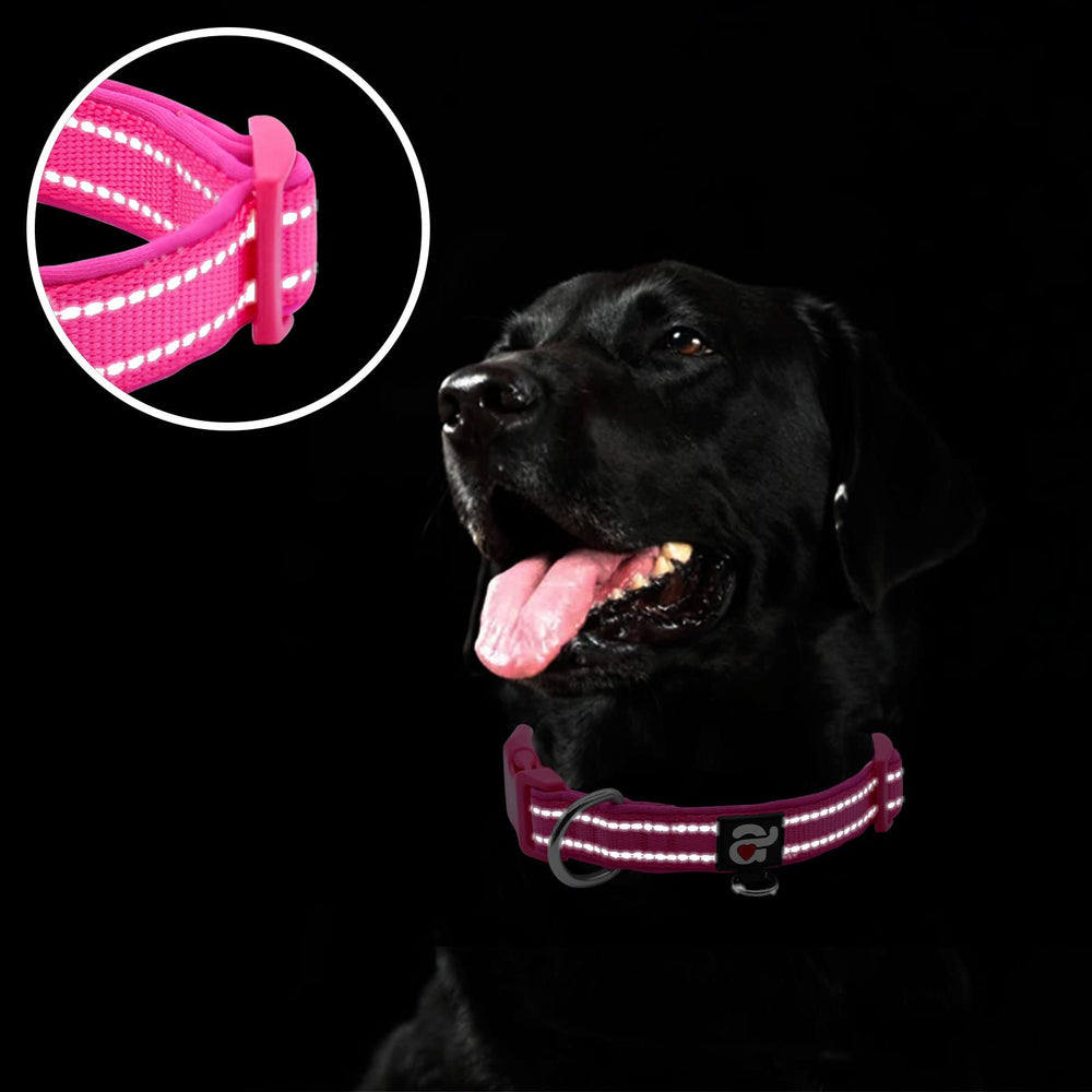 azuza Reflective Dog Collar adjustable small-dog size fits puppies comfortably.