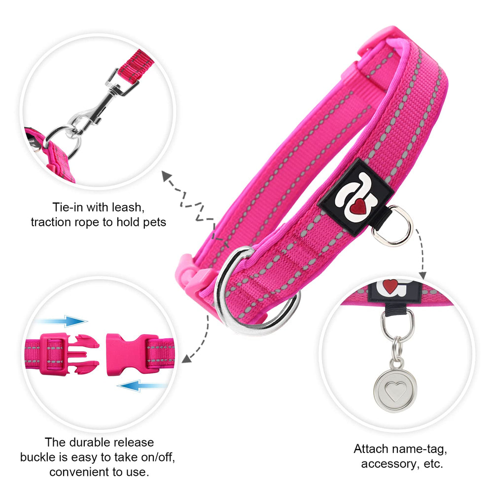azuza reflective dog collar chrome buckle provides secure on-off during daily walks