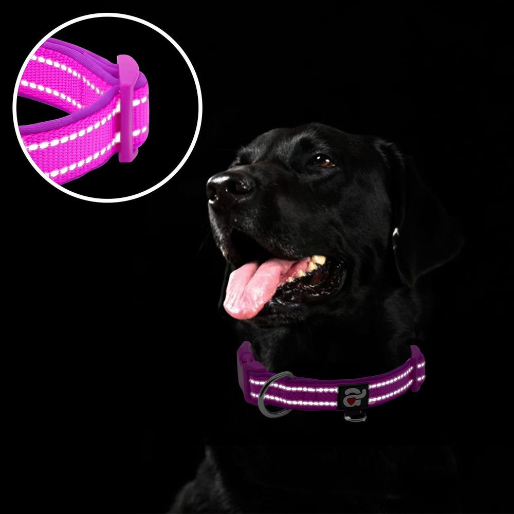 Azuza chrome-coated D-ring provides durability for daily leash use.