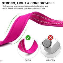 azuza Reflective Dog Collar chrome D-ring delivers durable leash attachment.