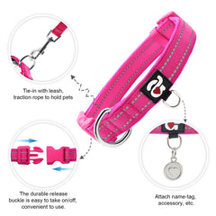 azuza Reflective dog collar close-up showing ID ring and chrome D-ring durability.