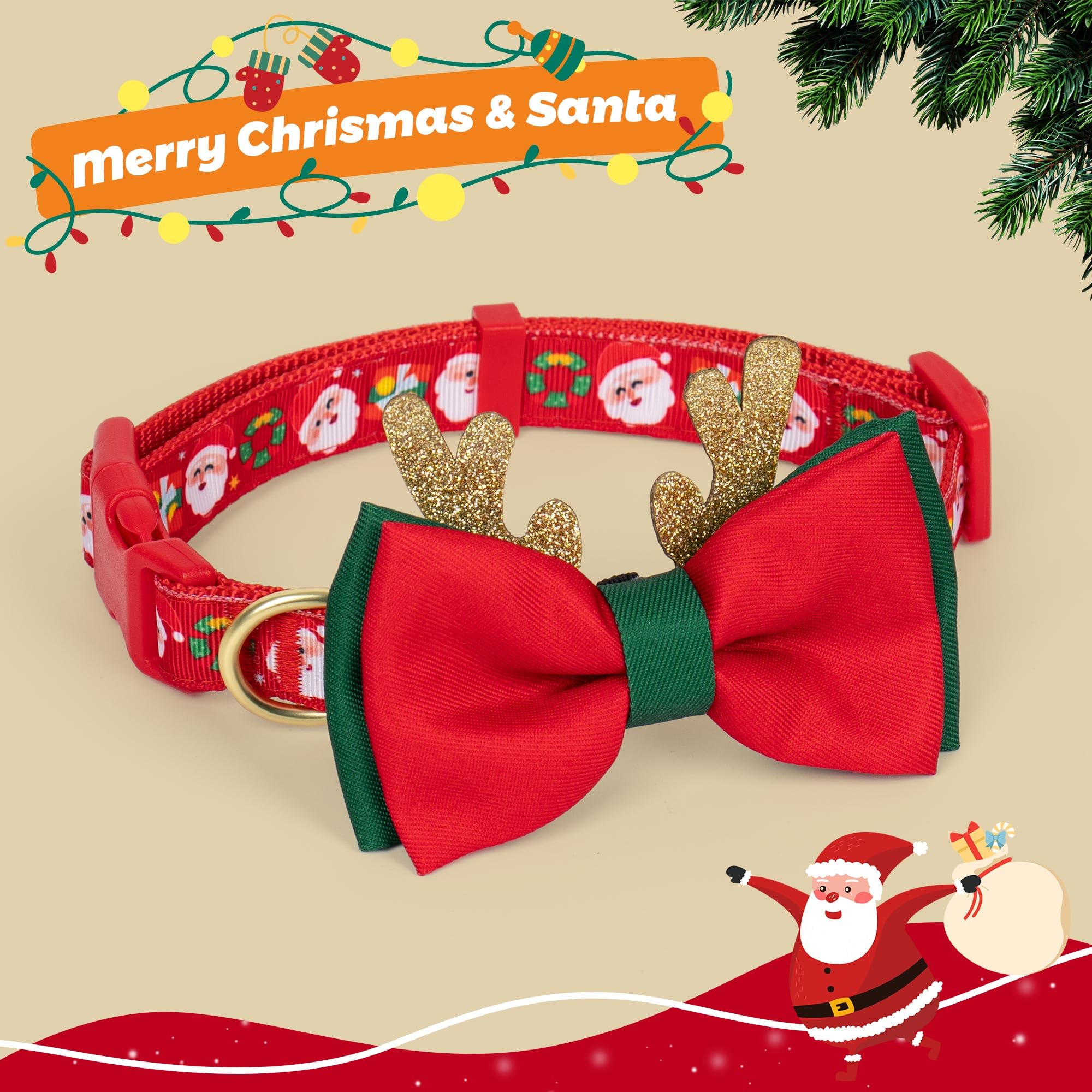 Azuza removable bowtie on red-pink adds festive flair to the collar.