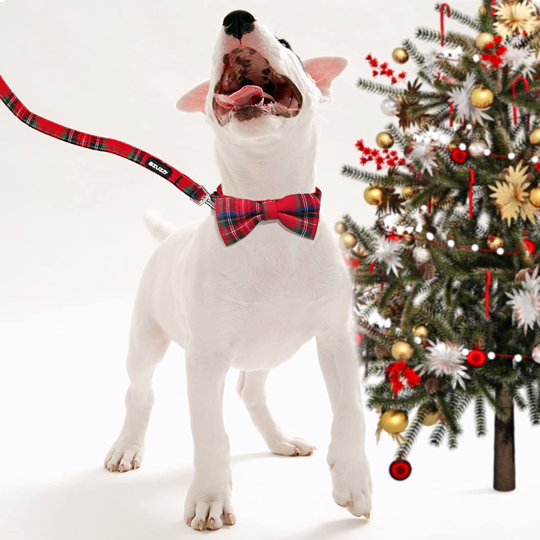 azuza Soft Webbing Collar provides comfort and durability.