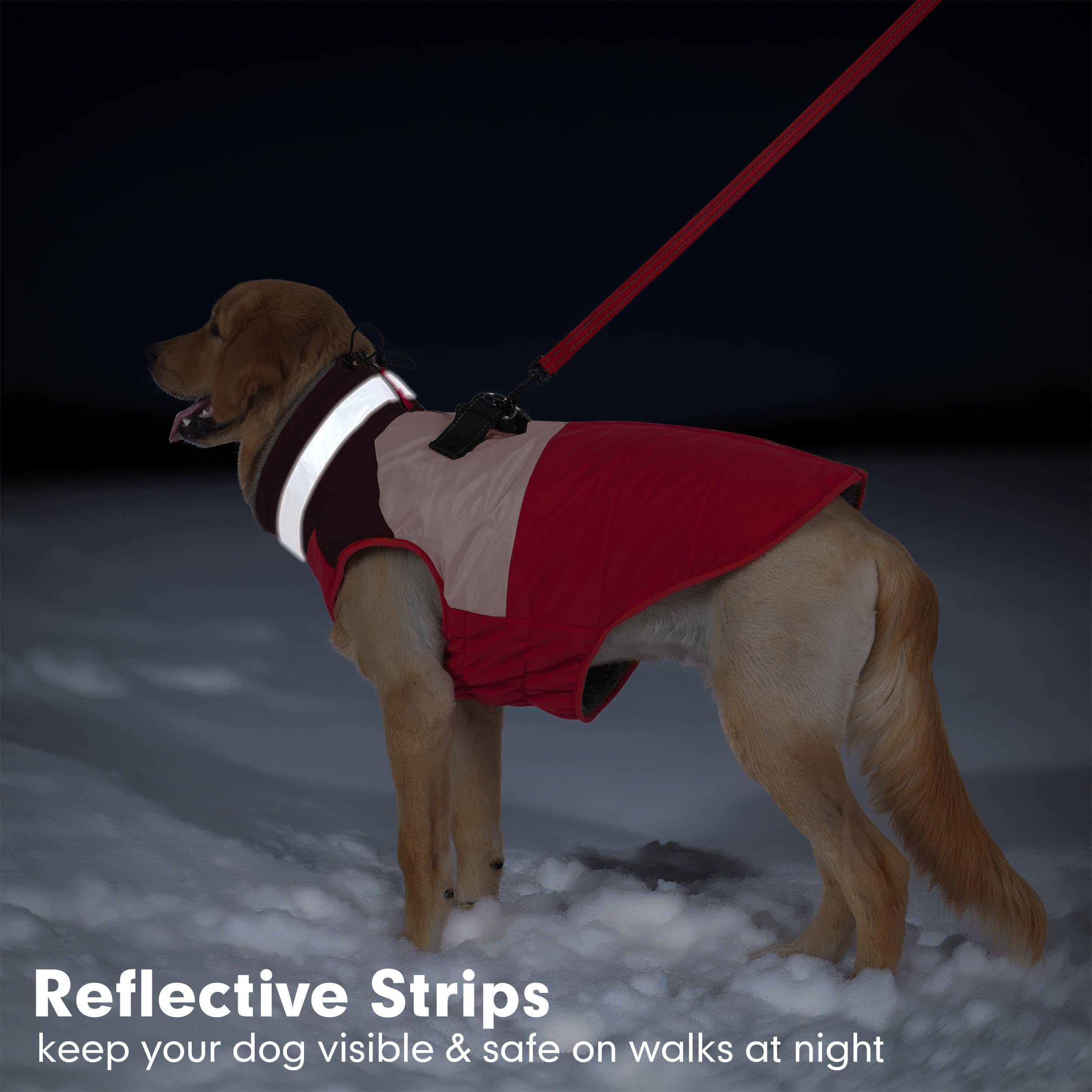 Azuza dog jacket reflective strips visible for night safety