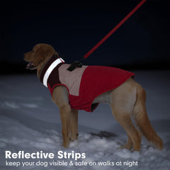 Azuza dog jacket reflective strips visible for night safety