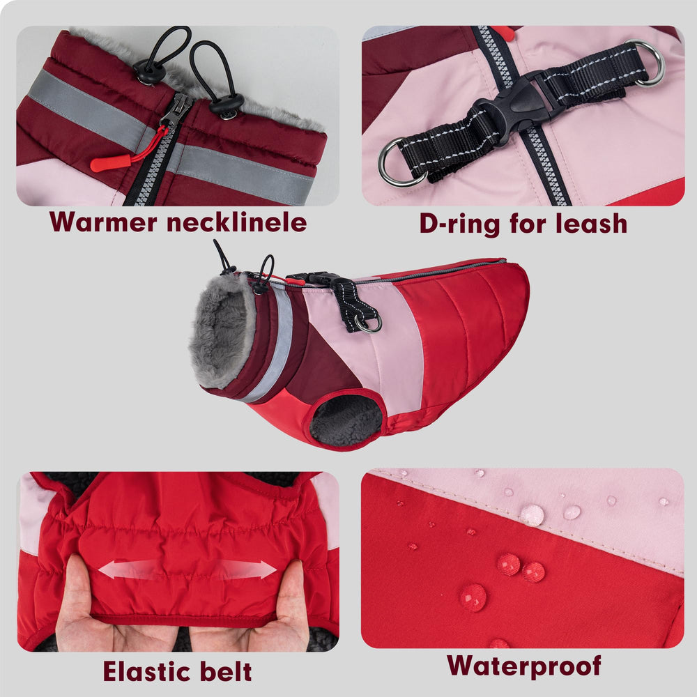 Azuza dog jacket waterproof fabric keeping a dog dry in wet conditions