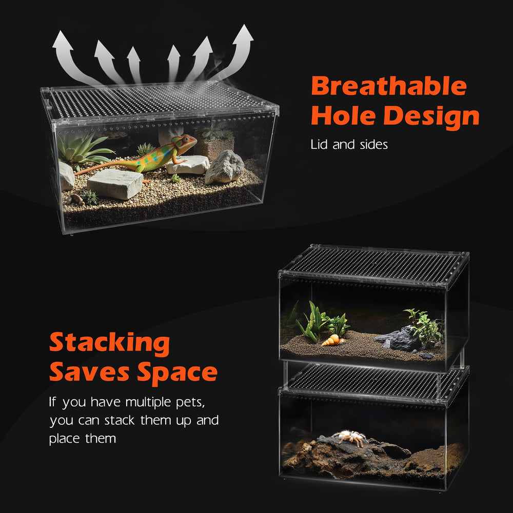 AZV desk and classroom display terrarium suitable for teaching and hobby displays