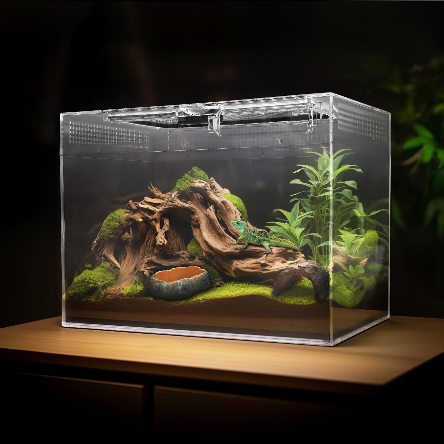 AZV Reptile Terrarium Starter Kit accessories pack enhances feeding, watering, and enrichment for beginners.