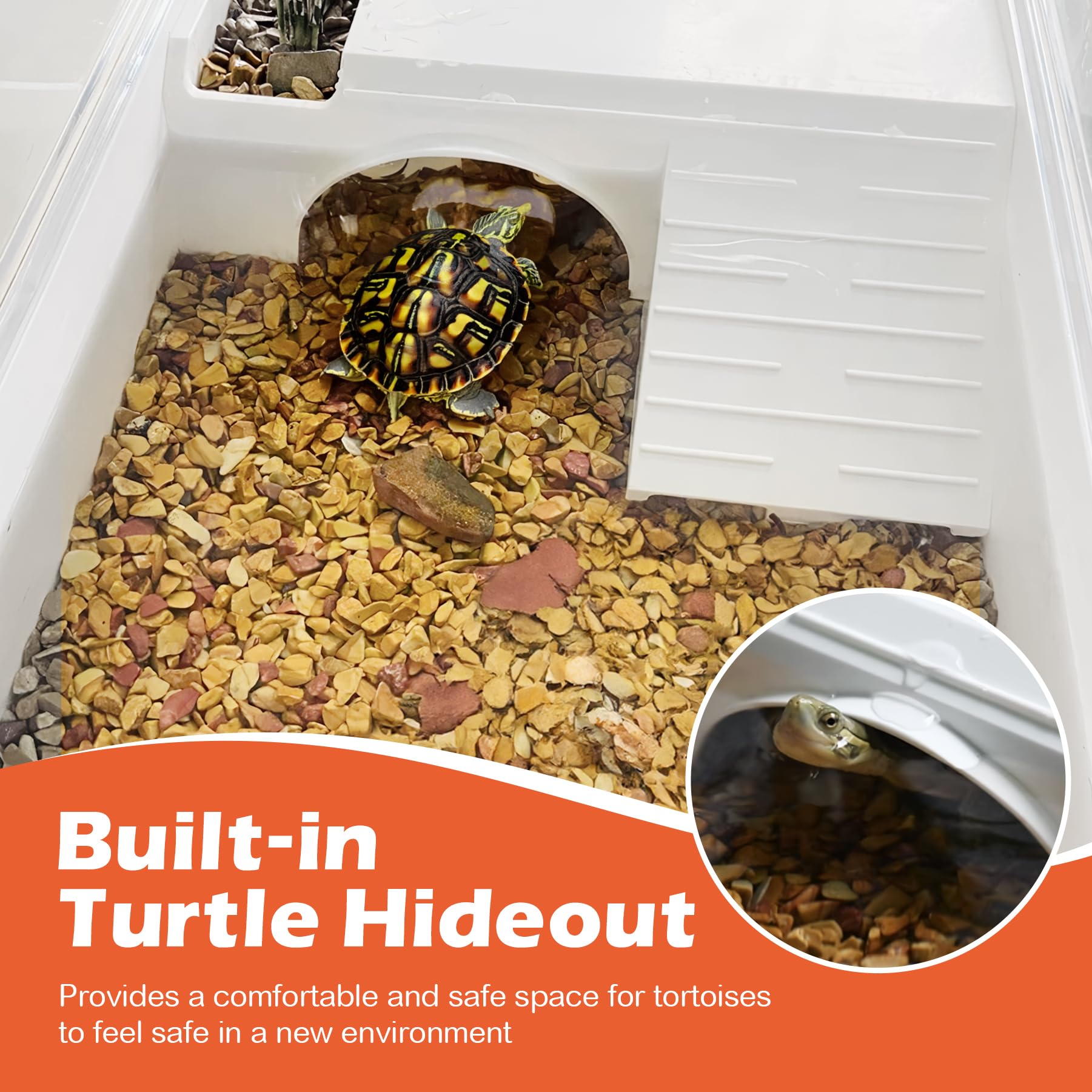 AZV Turtle Tank Starter multi-zone setup encourages active feeding, climbing, diving, and swimming.