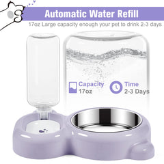 Azwraith 2-in-1 cat food and water bowl keeps meals tidy