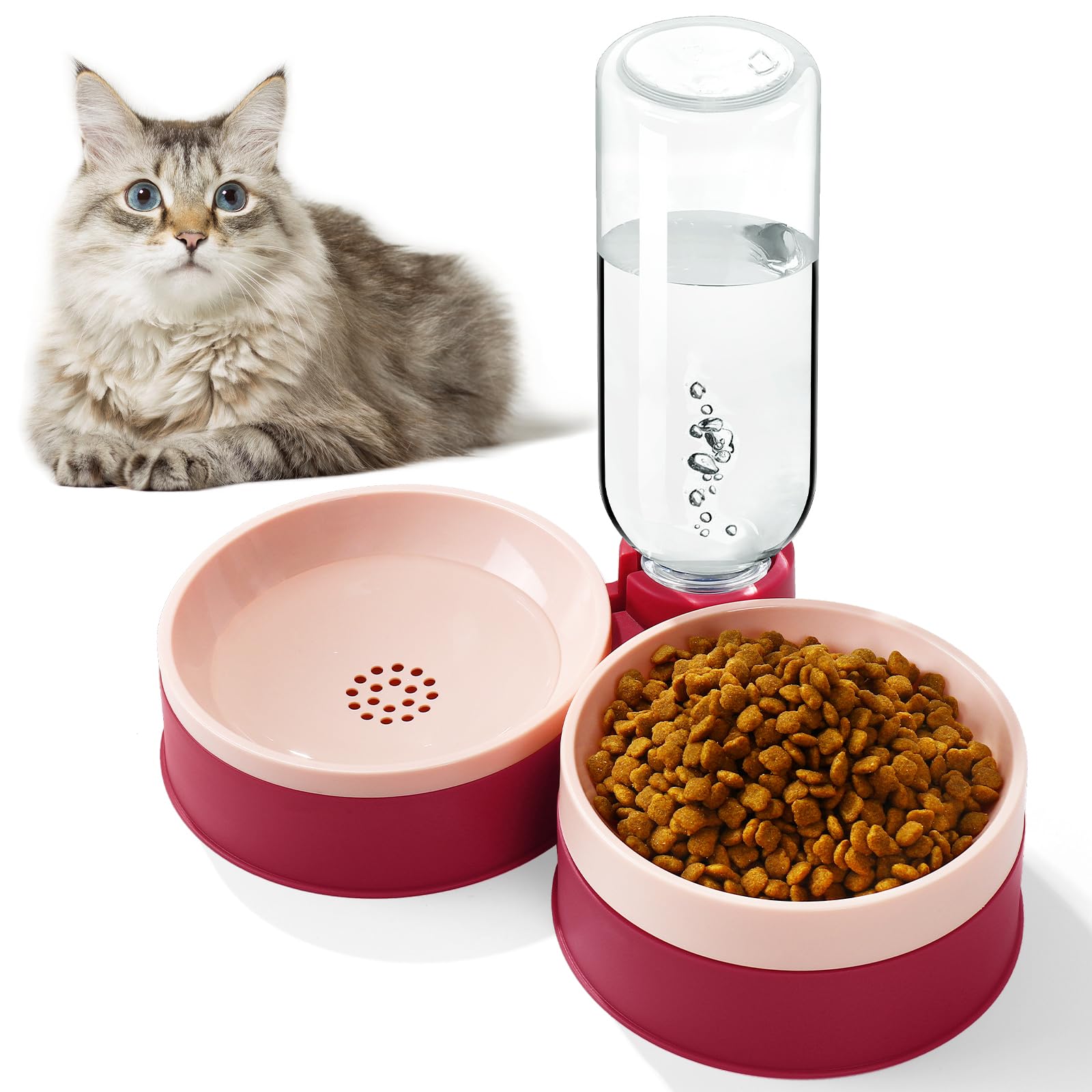 Azwraith cat-food-bowl-elevated-design promotes comfortable feeding posture for cats.