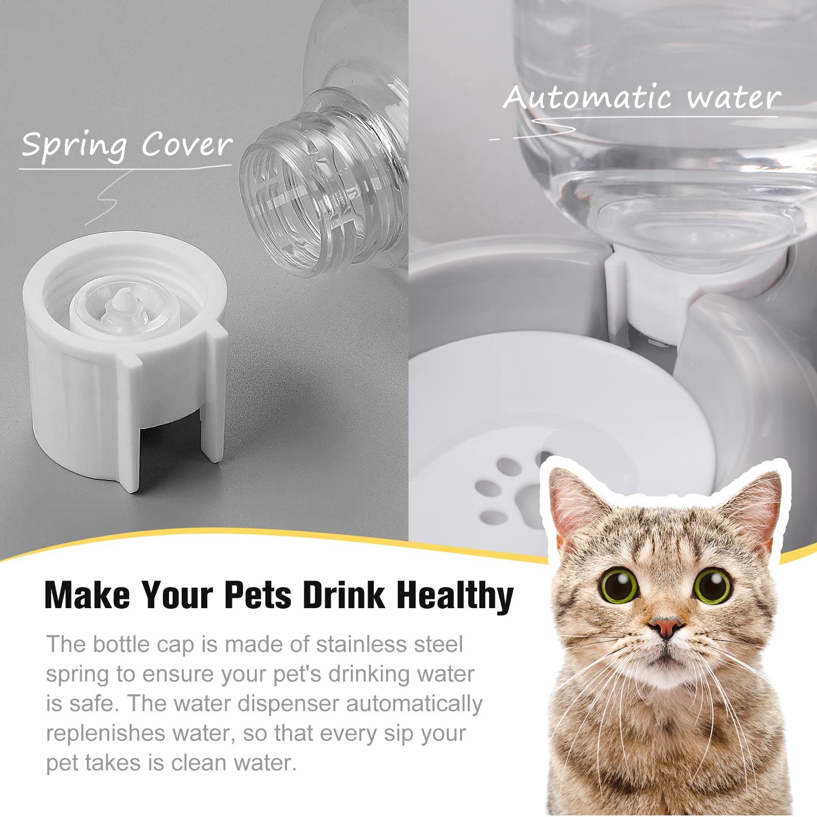 Azwraith no-slip-base-pet-bowl keeps meals steady and minimizes spills.