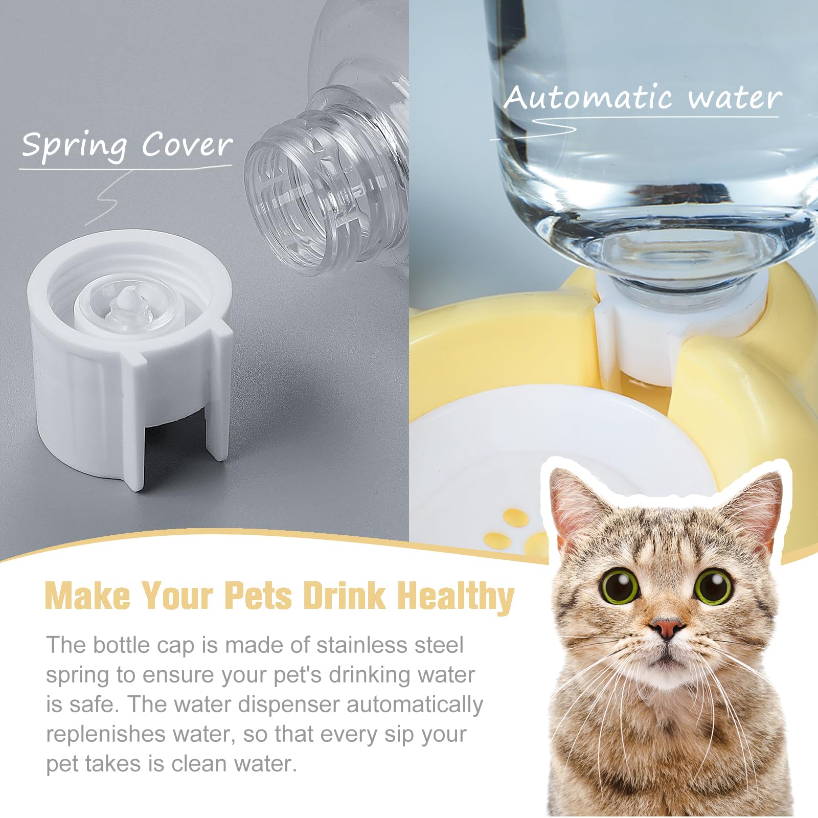 Azwraith water divider design keeps fur dry and water clean