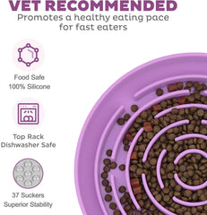 Azyh slow-feeder dog bowl labyrinth pattern promoting mindful eating during mealtime.
