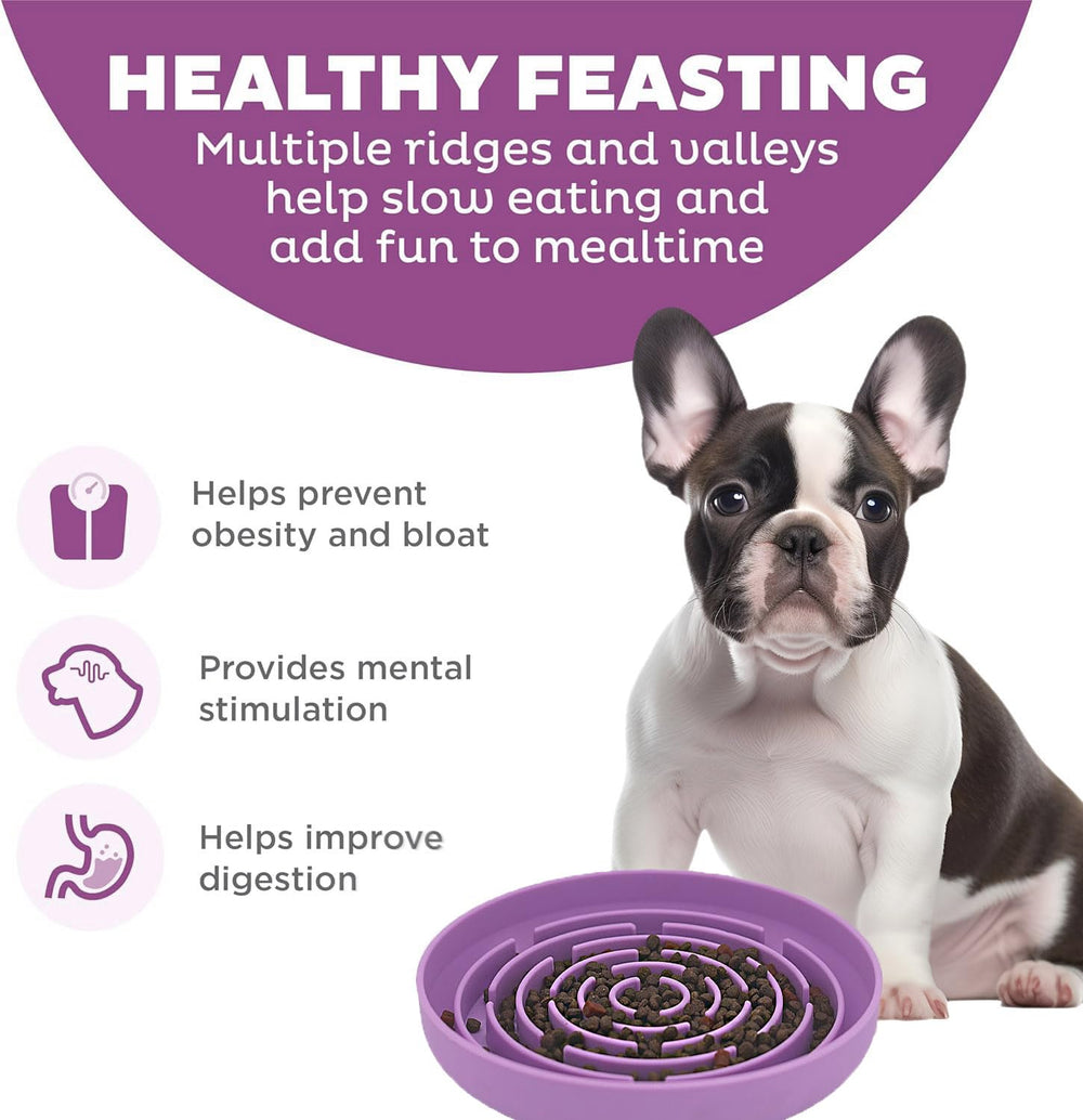 Azyh slow-feeder dog bowl with suction cups gripping a smooth surface to prevent spills.