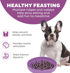 Azyh slow-feeder dog bowl with suction cups gripping a smooth surface to prevent spills.