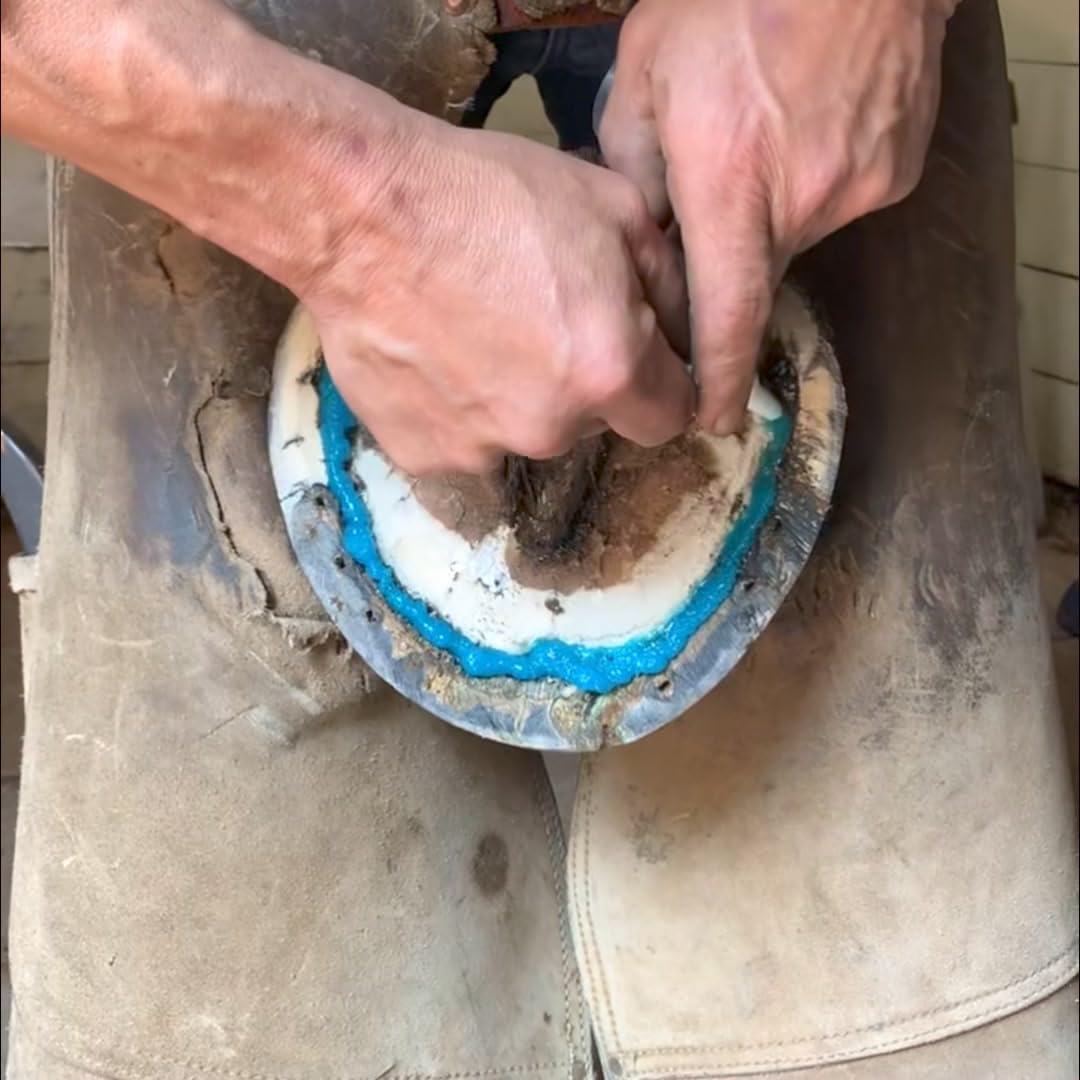 B Gone White Line application shows fast, precise coating for reliable hoof treatment.