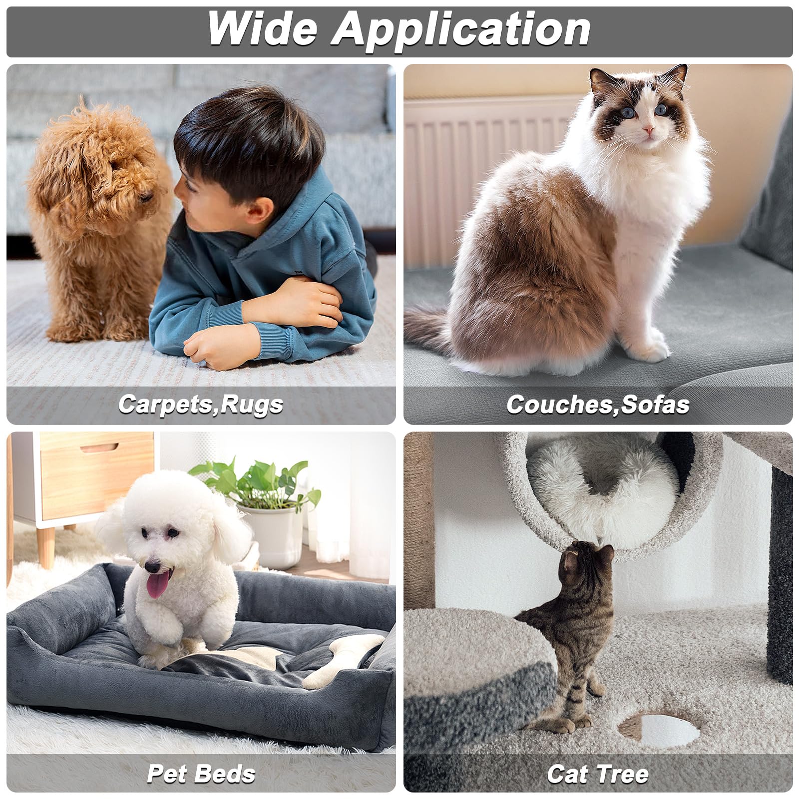 B-Land 3-piece set packaging shows a complete pet hair removal solution.